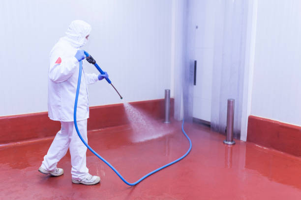  Pennsboro, WV Pressure Washing Pros